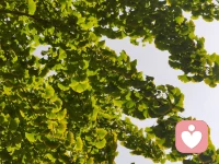 人與人之間的控制來自三種情感：
第一種是恐懼，第二種是愧疚，第三種是責任。
家庭系統中如果采用了這其中的某一種，恐怕后期都會出問題。配圖