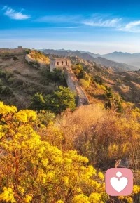 如果你當了父母后還在因原生家庭感到困惑，
意味著你也在創造影響你孩子的原生家庭。配圖