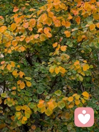 对原生家庭的忠诚或认同，
会让人在自己的小家庭中延续原生家庭的氛围。配图