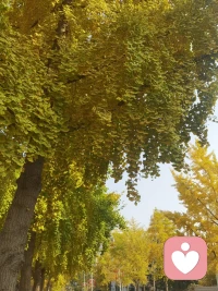 家庭教育中，對孩子來說，父親是很好的榜樣，所以父親平時要多花些時間陪伴孩子，多陪孩子玩耍，多跟孩子交流互動。“身教”遠比“言傳”效果要好。這種陪伴能修復親子關系，讓孩子更加認同父親。配圖