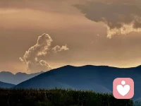 父母对孩子身体虚弱的担忧，常常是孩子发生饮食问题的根源。配图