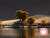 多则惑，少则明。
人们的选择越多，往往越容易迷失，甚至会忘记了自己真正想要的东西究竟是什么，即核心价值观是什么，从而无法将全部精力投入到与核心价值观相符的最重要的事情上。配图