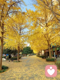 自恋者身上至少会出现以下几种征兆中的5种：
 
●高估自己
●对无限的成功与权力怀抱幻想
●认为自己独一无二，“世间少有”
●过度需要他人的赞美
●认为一切都是别人欠自己的
●利用有关系的人
●缺乏同理心
●经常羡慕他人
●表现出骄傲自大的态度与行为方式
学会识别身边的自恋者。配图