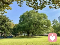 不要尝试跟自己的缺点做斗争，而是要接受。
你和其他人一样都只是一个人。
只有这样你才能真正放松，
也许这是你人生的第一次放松。配图