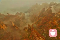 人们之所以伪装，是因为觉得自己很脆弱，容易受到攻击，只想给这个世界展现自己强大快乐的一面。这种保护策略跟追求和谐和完美有不少交集。配图