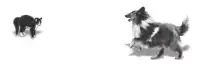 即便沒有任何回報(bào)，
得不到任何人的認(rèn)可，
也要從自己開始。
——阿德勒配圖