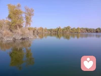 不懂界限為何物的人會逆來順受，
對身邊人的虐待、恐嚇全盤接受，
甚至認為都是自己不好。配圖