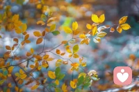 很多青春期孩子的家長就會有無奈、生氣、憤怒、失望、挫敗等情緒，因為身為家長對青春期的孩子出現的各種情況有很多不滿意，不理解，不認同。當家長的內心有固化標簽，有質疑態度，如何表達愛就變成了家長的重要功課。配圖