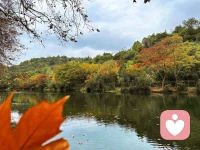 好的关系是两颗心彼此温暖，
而不是一颗心对另外一颗心的单方面付出。配图