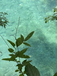 孩子在剛?cè)雽W(xué)之時(shí)，心理上對(duì)于競爭的準(zhǔn)備
遠(yuǎn)遠(yuǎn)比合作的準(zhǔn)備充足，不適當(dāng)引導(dǎo)，
只會(huì)讓孩子在日益激烈的競爭中迷失自我。配圖