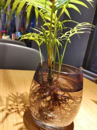 人能常清靜，天地悉皆歸。
周末愉快！配圖