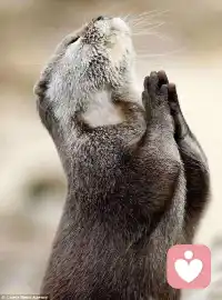 十多年前，有人給我推銷心理咨詢師培訓(xùn)課程，讓我當(dāng)心理咨詢師，我毅然決然拒絕了。因?yàn)槲矣X得那是神干的事，一般人干不了。而我就是個(gè)普通人而已。配圖