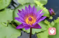 不要擔心別人會做得比你好，你只需要每天做得比前一天好就可以了。成長是一場和自己的比賽。配圖