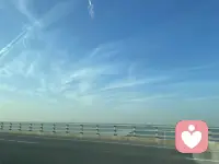 精神健康的人,總是努力的工作及愛人,只要能做到這兩件事,其它的事就沒有什么困難。配圖
