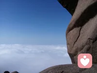 相愛的時候需要真誠，爭執的時候需要溝通，生氣的時候需要冷靜，愉快的時候需要分享，指責的時候需要諒解，過日子需要包容。配圖