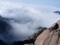 時間會告訴我們:簡單的喜歡最長遠，平凡中的陪伴最心安，懂你的人最溫暖。配圖