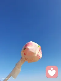 一半素心以清簡，一半寂靜許清歡。配圖