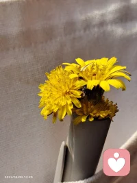 境由心生，物隨境轉，心之所向，景致所在。
我們看這個世界的角度，決定了它給我們的溫度。配圖