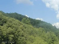 在這個(gè)快節(jié)奏的世界里，每個(gè)人心中都藏著一片溫柔的海，時(shí)而波瀾壯闊，時(shí)而靜謐深邃。你是否曾在某個(gè)不眠之夜，望著星空，渴望有一個(gè)角落，能輕輕安放那些不為人知的故事與情緒？

在這里，我為你點(diǎn)亮一盞溫暖的燈，不是心理醫(yī)生，也不是陌生人的冷漠旁觀，而是一個(gè)愿意傾聽你所有聲音的朋友。無論你的心事是喜悅的漣漪，還是憂傷的浪花，我都愿意成為那片寧靜的海岸，讓你的心靈得以停泊，讓你的聲音被溫柔以待。

不用擔(dān)心被評(píng)判，也不用害怕被誤解。在這里，你的每一句話，每一個(gè)感受，都將被小心翼翼地收藏，如同珍貴的貝殼，在時(shí)間的沙灘上熠熠生輝。讓我們一起走過這段旅程，分享那些照亮你生活的瞬間，也共同面對(duì)那些讓你感到沉重的時(shí)刻。

所以，當(dāng)你感到孤獨(dú)、迷茫，或是想要分享喜悅時(shí)，不妨向我走來。告訴我你的故事，你的夢(mèng)想，你的憂愁與歡笑。我將以最大的耐心和真誠，回應(yīng)你的每一次傾訴，讓心靈的花園因我們的交流而更加繁花似錦。

來吧，朋友，讓我們?cè)谶@不朽的時(shí)光里，共同書寫屬于我們的溫馨篇章。我在這里，等你傾訴，等你分享，等你一起走過每一個(gè)難忘的瞬間。配圖