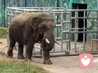 昨夜嬋娟入夢來。深情贈我一片白。
對飲瑤漿千殤醉。預(yù)寐。恍惚臥枕美人懷。

晨起秋風吹我亂。遺憾。遍尋不見美人來。
漫展鋪天紅葉舞。守護。風吹霧動霽云臺。配圖