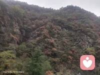 昨夜嬋娟入夢來。深情贈我一片白。
對飲瑤漿千殤醉。預(yù)寐。恍惚臥枕美人懷。

晨起秋風吹我亂。遺憾。遍尋不見美人來。
漫展鋪天紅葉舞。守護。風吹霧動霽云臺。配圖