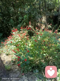 其實，我一直都在。從未缺席。配圖