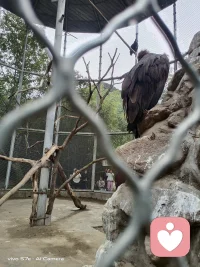 其實，我一直都在。從未缺席。配圖