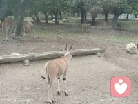 據說每個人在出生之前就已經選擇了這一生的劇本來這個世間無非就是按照自己選擇的劇本演繹既定的角色。配圖