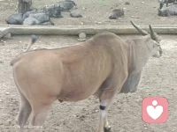 據說每個人在出生之前就已經選擇了這一生的劇本來這個世間無非就是按照自己選擇的劇本演繹既定的角色。配圖