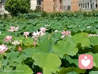 據說每個人在出生之前就已經選擇了這一生的劇本來這個世間無非就是按照自己選擇的劇本演繹既定的角色。配圖