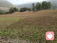 未知，如同生命的云煙，走進(jìn)了，自然就明白其中是質(zhì)感。配圖