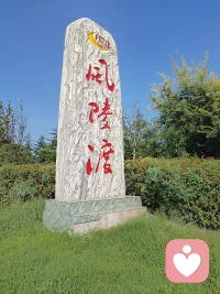 立志做最貼心的心靈撫慰者！我一定要撬開無情天道的冷酷面具，喚醒每個人內心最柔軟的溫情。讓世間再無冷漠和彷徨！配圖