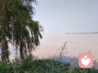 立志做最貼心的心靈撫慰者！我一定要撬開無情天道的冷酷面具，喚醒每個人內心最柔軟的溫情。讓世間再無冷漠和彷徨！配圖