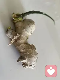 花花世界，浮華人生靜默淡然，隨遇而安配圖