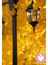 最大的問題不是自律，而是我們沒有花費(fèi)工夫確定愿景——為什么要改變。我們沒有求助于內(nèi)心深處的價值觀和動力，沒有求助于我們生命中最重要的。聽聽你內(nèi)心的聲音，了解一下，你真正想做的是什么，那才是你的動力之源泉。當(dāng)你真正想做一件事情時，動力會從內(nèi)心自動產(chǎn)生，你自然會獲得自律。不要從外界去尋找迫使你改變習(xí)慣的東西，因?yàn)樗鼈兒苋菀妆荒惴艞?。配圖