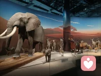 或許不美麗，或許不擅交際，或許不懂變通，但是請記住，無論怎么樣，你都是你，不一樣的煙火配圖