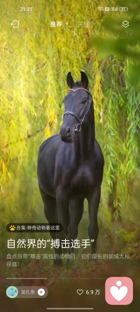 你要知道，在這個世界上，總有一個人，在等待著你的到來，不管你什么時候出現，在什么地方，你要知道，總會有人在等你的。配圖