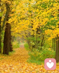 只有一個人對世界了解的更廣大，對人生看得更深刻，那么，他才有可能對自己所處的艱難和困苦有更高意義的理解；甚至也會心平氣靜地對待快樂和幸福。配圖