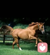 本性善良的人都晚熟，并且是被劣人催熟的。
后來雖然開竅了，但他仍然善良與赤誠，不斷尋找同類，最后變成最孤獨的一個人
晚熟的人，到了合適的時候，出現了能讓他展現才華的舞臺，他便會閃閃發光的配圖