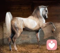 很多事情，如你第一次不去制止，便是間接告訴他這樣做可行。當你一再縱容，便是鑄就他成為彼此破壞彼此感情的罪魁禍首配圖