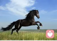 一個格局大的人，不一定有多么的成功，也不見得是多么的有錢，但他們做事一定有自己的立場，分得清是非，對于大事小事區(qū)別對待。配圖