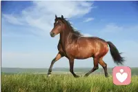 現實和理想之間的落差，使得人人活在痛苦之中。
而這些落差，其實不過是欲望和現實產生了一些距離。配圖