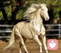 成年人的愛，有更多紛繁復雜的因素。放棄一個喜歡的人，不見得是你們的愛變了，而是彼此的生活環境變了，各自的追求變了，大家在不同境遇里，對待感情的態度和方式不一致了。配圖