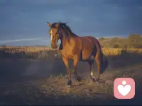 一切力量都是從“定”中產生出來的，但只有在“靜”中才能“定”。
也就是說一個人在安定的地方，能夠定下來，還不算是“定”，要在煩惱的時候，能夠定下來才算是定。配圖