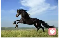 學誠法師曾經(jīng)說過這樣一句話：“你說的話，其實就是別人眼中的你。大家都想改變自己的命運，好好說話，就是改變命運。”配圖