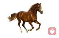 有規劃的人生，就像燈塔一樣，會引導人向前行進。它會讓人在茫茫大海中，不至于迷失方向。配圖