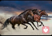 自我約束是一種習(xí)慣，雖然過(guò)程很難，但真的會(huì)讓你提高。每個(gè)人的修養(yǎng)是由內(nèi)而外得到提高的，有自己的獨(dú)特魅力，你才能成為閃光點(diǎn)。配圖