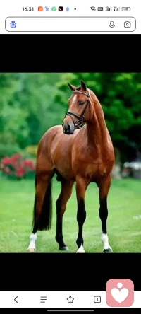 只要不是我覺到、悟到的，你給不了我，給了我也拿不住。拿不住又何需去拿？只有我自己覺到、悟到的，我才有可能做到，我能做到的才是我的。配圖