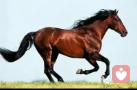 人心，只有陽光一些，才能感受到這個世界的溫暖，才能看到這個世界的美景??配圖