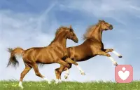 那些幸福穩(wěn)定的婚姻，不光是男人有能力，妻子單拎出來也能獨當(dāng)一面，非常優(yōu)秀。配圖